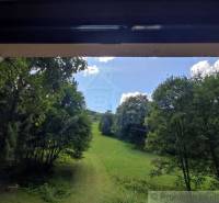 View from the family house to the green meadow and trees in Mojtín.