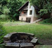 A family house in Mojtín with a fire pit and a grassy garden surrounded by trees.