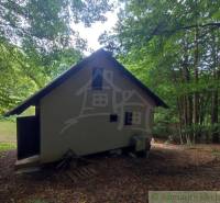A family house in the forest in Mojtín, surrounded by dense greenery and nature.