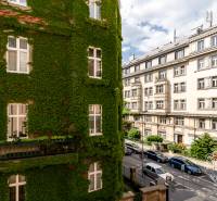 Buildings on Grösslingová Street in Bratislava - Old Town, one completely covered in ivy.