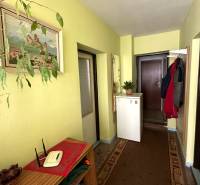 A hallway in a family house with yellow walls, a plant, a mirror, and carpeted flooring.