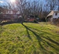 Sunny plot in Šemša near a cottage with a grassy area and a tree.