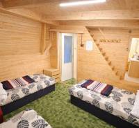 The interior of the cabin includes two beds, wooden paneling, and a green carpet.