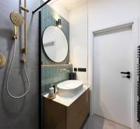 Bathroom with a sink and a luxurious shower in a 2-room apartment on Vajnorská Street.