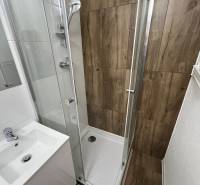 A bathroom in a studio apartment with wood decor, a shower corner, and sanitary equipment.