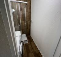 A bathroom in a studio apartment with a wooden decor floor, a shower corner, and a washing machine.