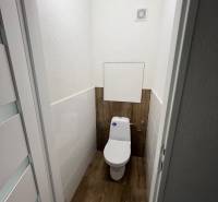 A bathroom with a wooden floor decor in a studio apartment.