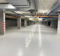 kancelarske_obchodne_priestory_rozkvet (8).jpg