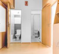 A hallway in a 3-room apartment with a wooden decor floor, closets, and a bathroom.