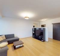 Living room with a sofa, wood-patterned floor, television, 4-room apartment.
