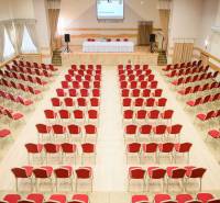 Conference room with red chairs and wood-patterned flooring in hotels and guesthouses.