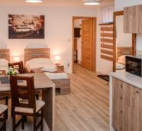 Interior of hotels and guesthouses with beds, kitchen units, and flooring with wood decor.