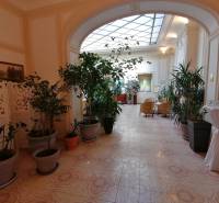 A corridor in hotels and guesthouses with flowers and seating, floor with decor.