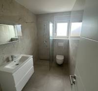 Bathroom in a 3-room apartment with a shower, sink, and toilet. Wall tiles with decor.