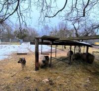 Plots - living on Mierová Street in Krásnohorské Podhradie with a dog and sheep under a shelter.