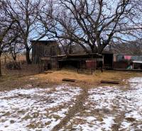 A snow-covered residential plot in Krásnohorské Podhradie, Mierová, with large trees.