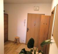 The entrance area of a 2-room apartment with a wooden decor floor and a houseplant.