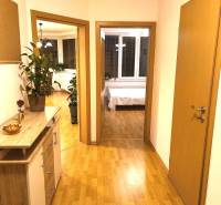 Hallway of a 2-room apartment with a wooden decor floor, houseplants, and furniture.