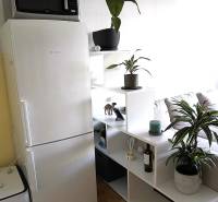 Interior of a 2-room apartment with a stylish white shelf and a floor with a wood decor.
