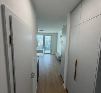 A narrow hallway in a studio apartment with a wood-patterned floor and a view of the window.