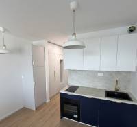 A studio apartment kitchen with light cabinets, a gray countertop, and a wood-patterned floor.