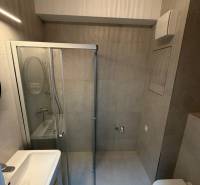 Compact bathroom with a modern shower and mirror in a studio apartment.