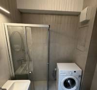 A bathroom in a studio apartment with a washing machine, shower, and sink.