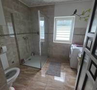 A bathroom in a family house with a toilet, shower, and washing machine.