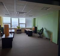 Offices with desks, chairs, and plants on a floor with wooden decor.