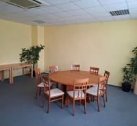 Office with a round table, six chairs, a blue carpet, and plants.