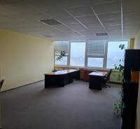 Offices with large windows and plants, carpet, light walls, simple furniture.