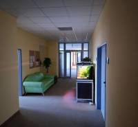 Offices with an aquarium, a green sofa, and a plant.