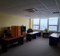 An office interior with three desks, plants, and a view through large windows.
