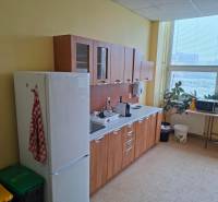 Offices with a bright kitchen; furniture with a wooden decor, windows, plants, refrigerator, appliances.