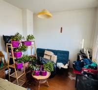 A room in a family house with plants, a sofa, and a table in front of a large window.