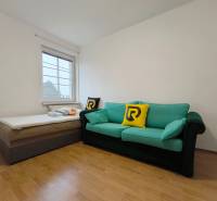 A room with a sofa and a bed, a floor with a wooden decor, a family house.