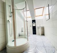 A bathroom with a corner shower, a sink, and skylights in the offices.