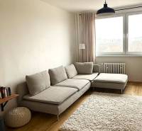Living room in a 3-room apartment with a sofa, carpet, and wooden decor flooring.