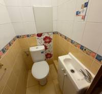 A bathroom in a 3-room apartment with colorful walls and ceramic tiles.