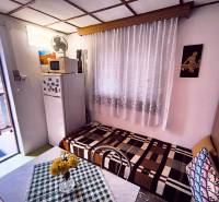 The interior of the cottage with a refrigerator, sofa, table, and a view of the garden.