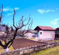 A cottage in Partizánske with a landscaped yard, garden, and leafless trees.