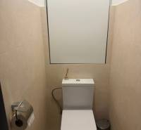 A toilet with beige walls, a mirror, and a bin in a 3-room apartment.