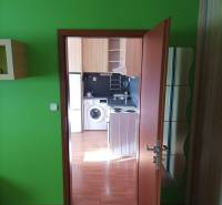 A one-room apartment with bright green walls and a wooden decor floor.