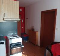 Kitchen in a studio apartment with a wood-patterned floor.