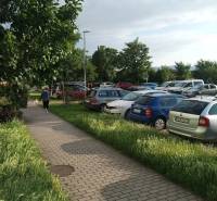 The sidewalk on Suvorovova Street in Pezinok, lined with cars and greenery.