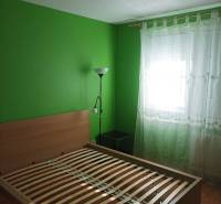 A bedroom in a studio apartment with a bed, green walls, and a wood-patterned floor.