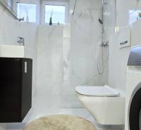 Bathroom in a family house with a washing machine and a shower, elegant tiles.