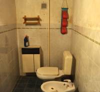 A bathroom in a family house with ceramic tiles and a wooden ceiling.