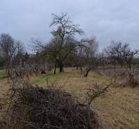 A garden by a family house in Abrahám with fruit trees and a grassy plot.