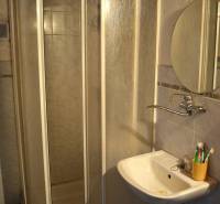 Bathroom in a family house with a corner shower and a sink.